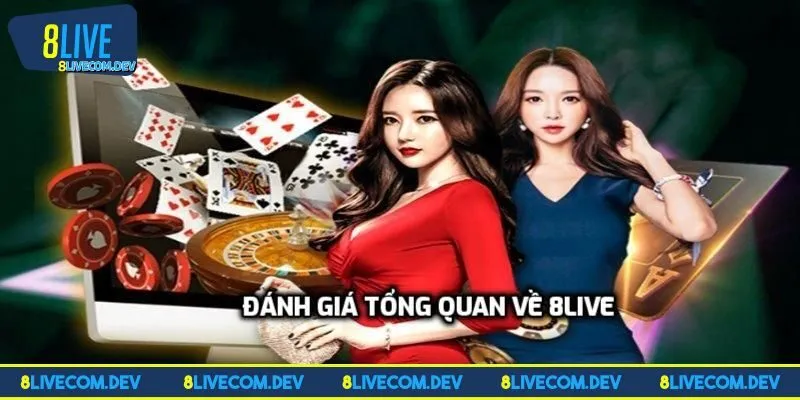 Đánh giá 8LIVE thông qua thông tin tổng quan