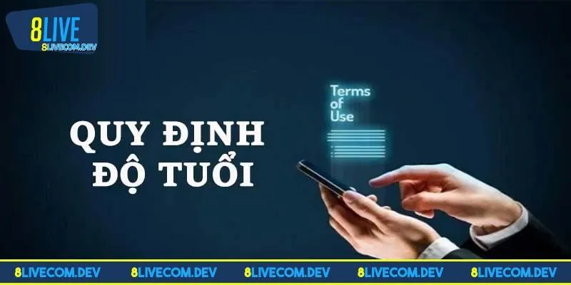 Một số quy định quan trọng trong điều khoản miễn trừ trách nhiệm